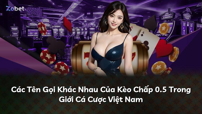 Các Tên Gọi Khác Nhau Của Kèo Chấp 0.5 Trong Giới Cá Cược Việt Nam