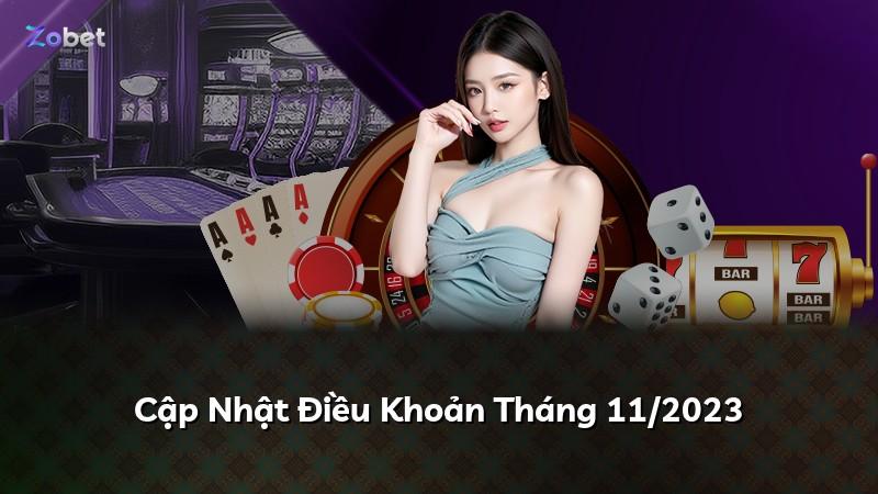 Cập Nhật Điều Khoản Tháng 11/2023