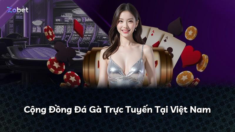 Cộng Đồng Đá Gà Trực Tuyến Tại Việt Nam