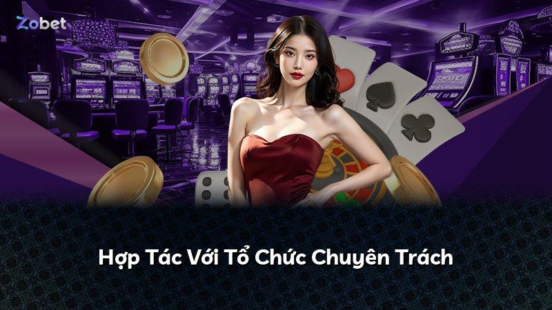 Hợp Tác Với Tổ Chức Chuyên Trách