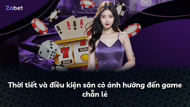 Thời tiết và điều kiện sân cỏ ảnh hưởng đến game chẵn lẻ